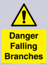 danger-falling-branches~